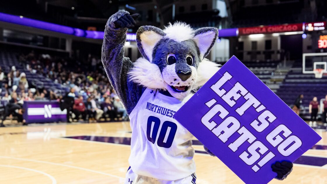 Northwestern Wildcats