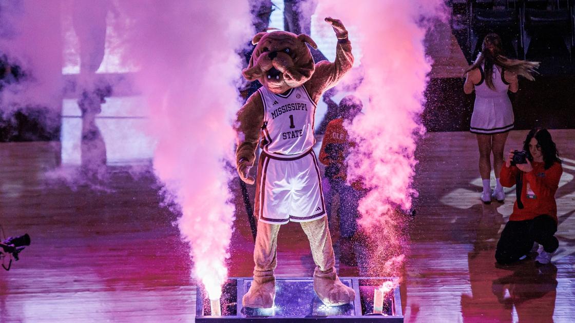 Mississippi State Bulldogs